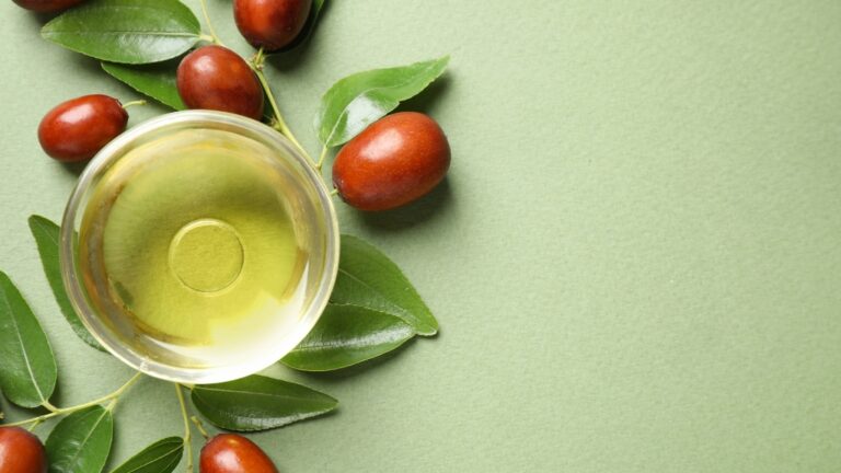 Čašica sa jojoba uljem okružena plodovima i zelenim listovima na svetlozelenoj podlozi